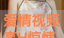 免费h视频,揭秘热门影视资源，畅享观影新体验